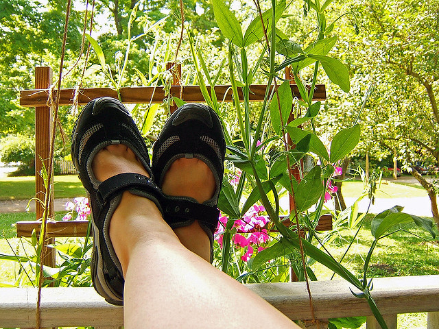 happy FUTAB, on a trellis